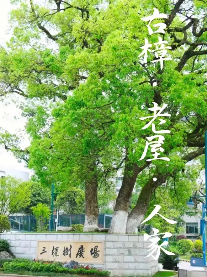 微信图片_20240522213846.jpg 微信图片_20240522213846.jpg